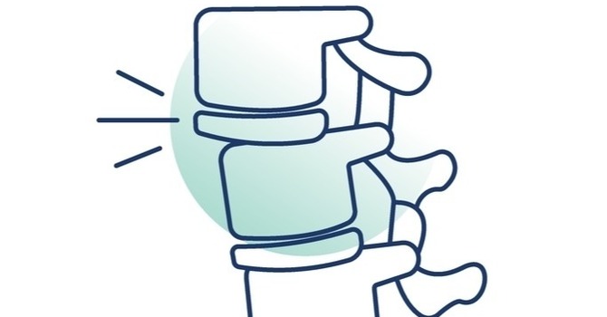 The Neck and how it affects the nervous system